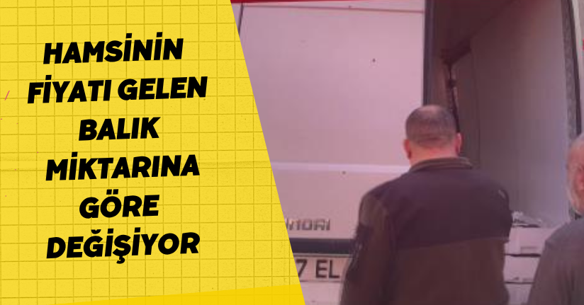 Hamsinin fiyatı gelen balık miktarına göre değişiyor