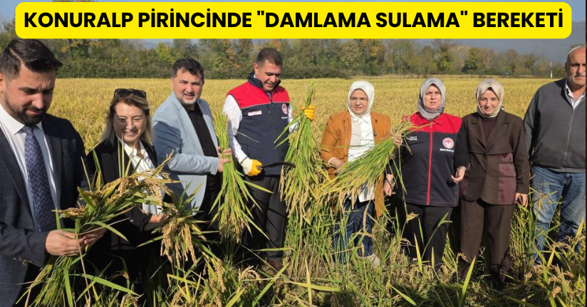 Konuralp Pirincinde Damlama Sulama Bereketi