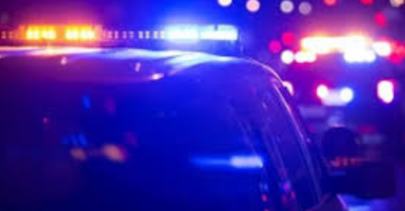 İzmir’de ’Saraçlar’a operasyon: 2 ’si kamu görevlisi 21 gözaltıİzmir’de ’Saraçlar’a operasyon: 2 ’si kamu görevlisi 21 gözaltı