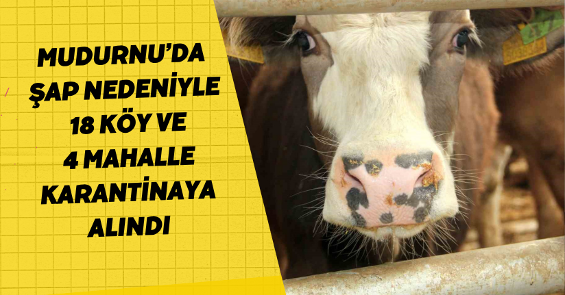 Mudurnu’da şap nedeniyle 18 köy ve 4 mahalle karantinaya alındıMudurnu’da şap nedeniyle 18 köy ve 4 mahalle karantinaya alındı