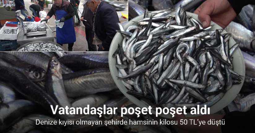 Denize kıyısı olmayan şehirde hamsinin kilosu 50 TL’ye düştü, vatandaş poşet poşet aldı