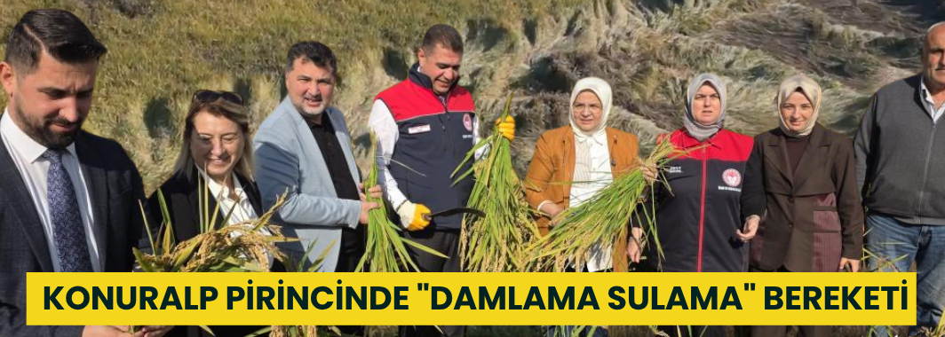 Konuralp Pirincinde Damlama Sulama Bereketi