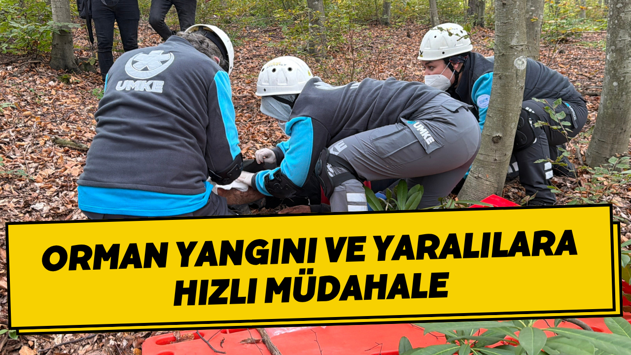 Orman Yangını Ve Yaralılara Hızlı Müdahale
