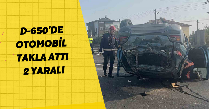 D-650’de otomobil takla attı: 2 yaralı