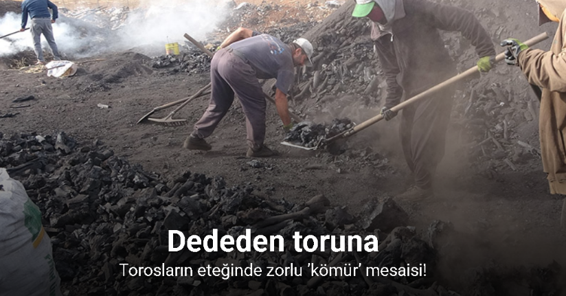Torosların eteğinde zorlu ’kömür’ mesaisi