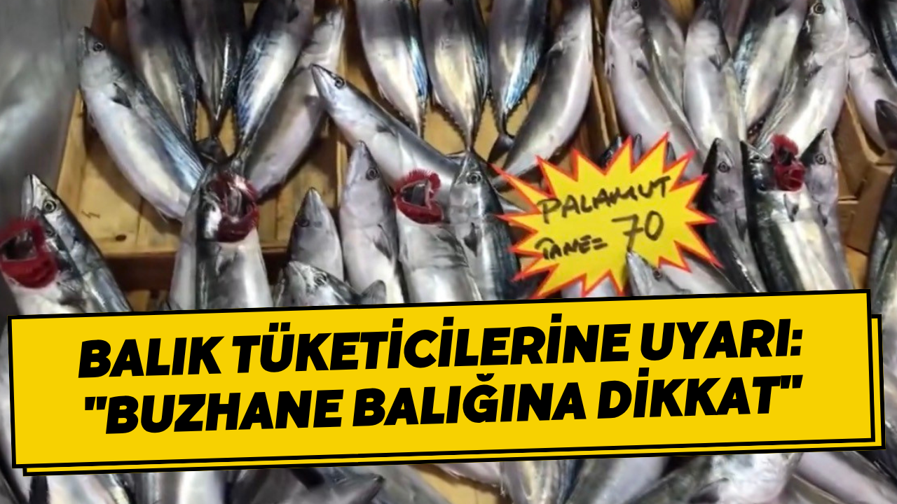 Balık Tüketicilerine Uyarı: 