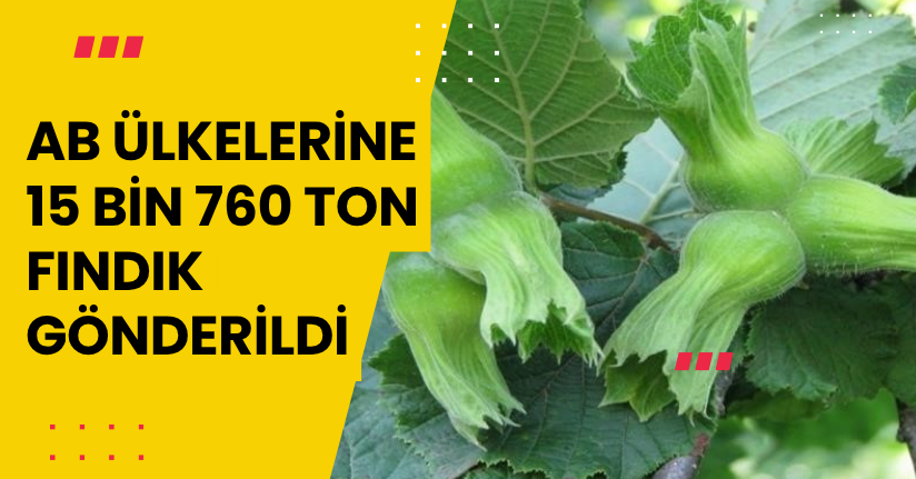 AB ülkelerine 15 bin 760 ton fındık gönderildi
