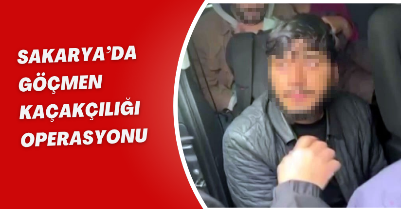 Sakarya’da göçmen kaçakçılığı operasyonu