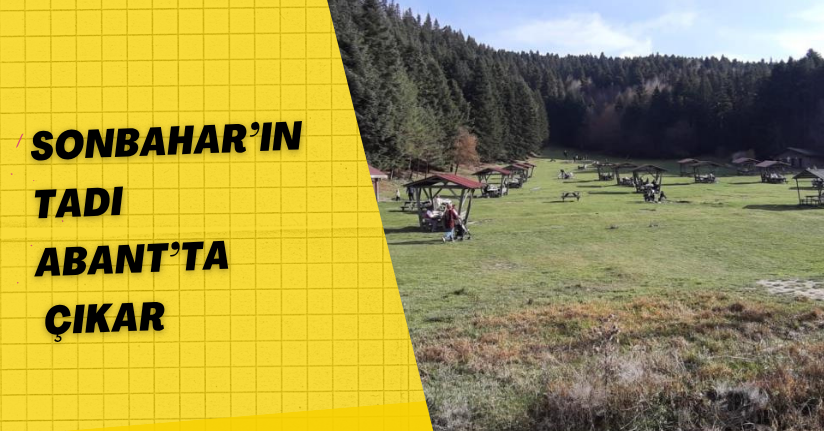  Doğa harikası Abant’ta ziyaretçiler akın etti