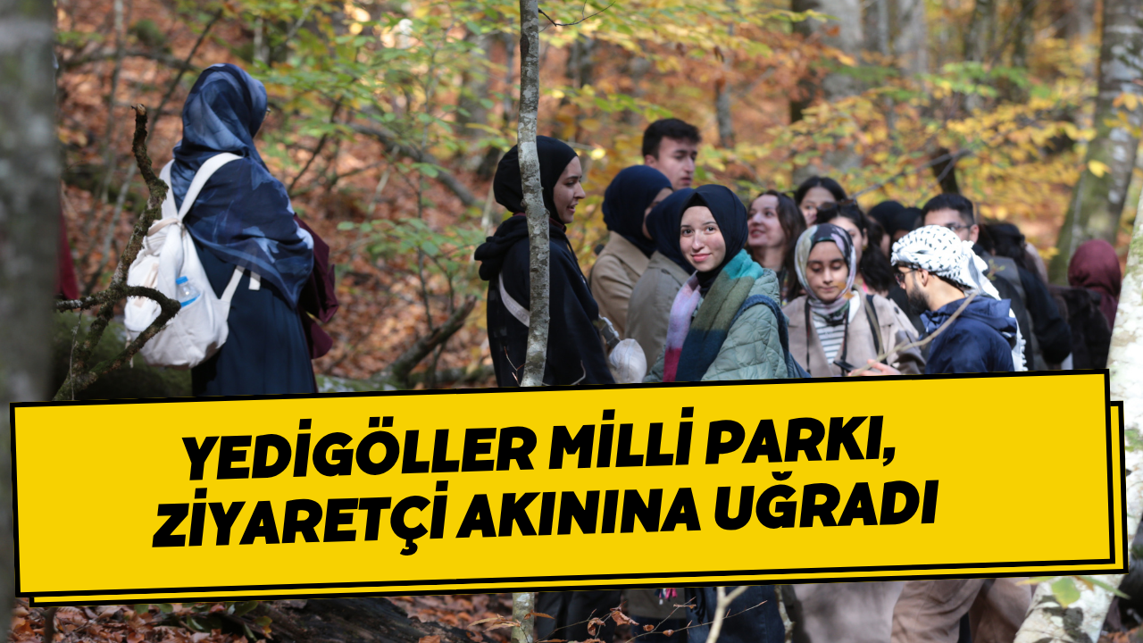 Yedigöller Milli Parkı, Ziyaretçi Akınına Uğradı