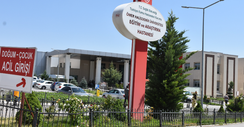 Ispanak sanıp, 'güzelavrat otu' yiyen aynı aileden 11 kişi zehirlendi