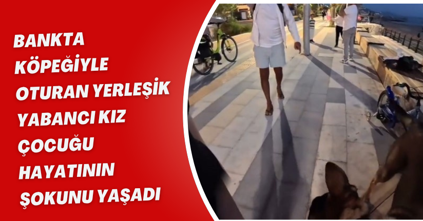 Bankta köpeğiyle oturan yerleşik yabancı kız çocuğu hayatının şokunu yaşadı