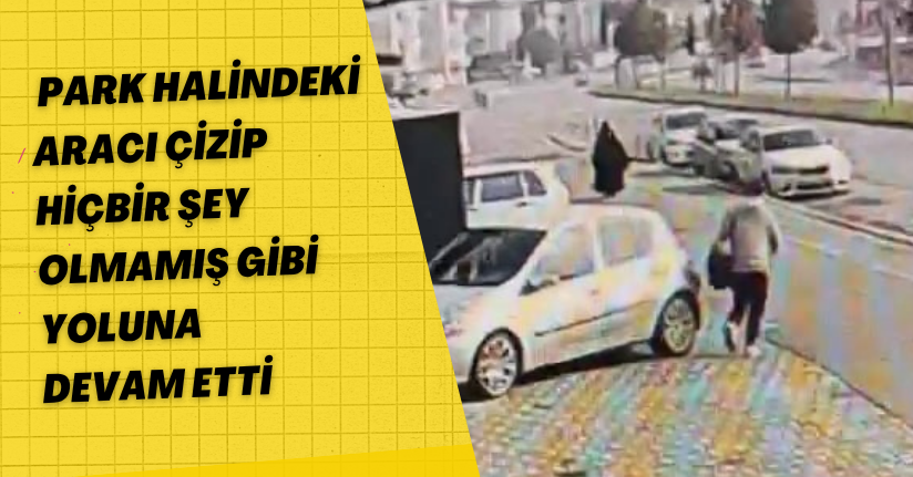 Park halindeki aracı çizip hiçbir şey olmamış gibi yoluna devam etti