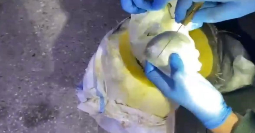 Osmaniye’de bal kabağından uyuşturucu çıktı