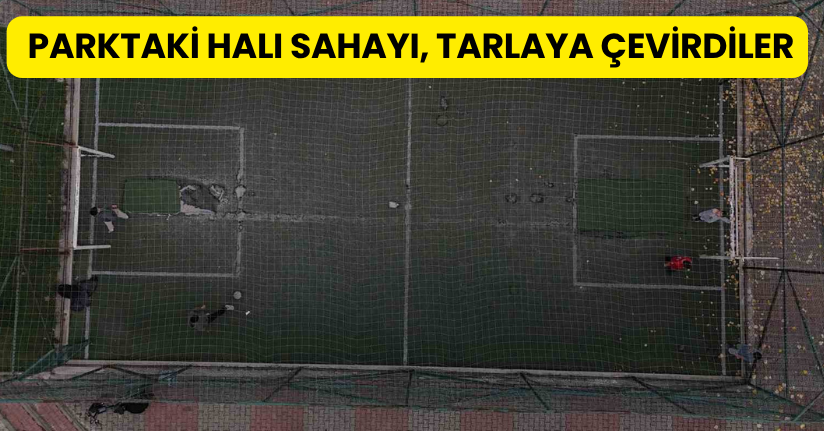 Parktaki halı sahayı, tarlaya çevirdiler