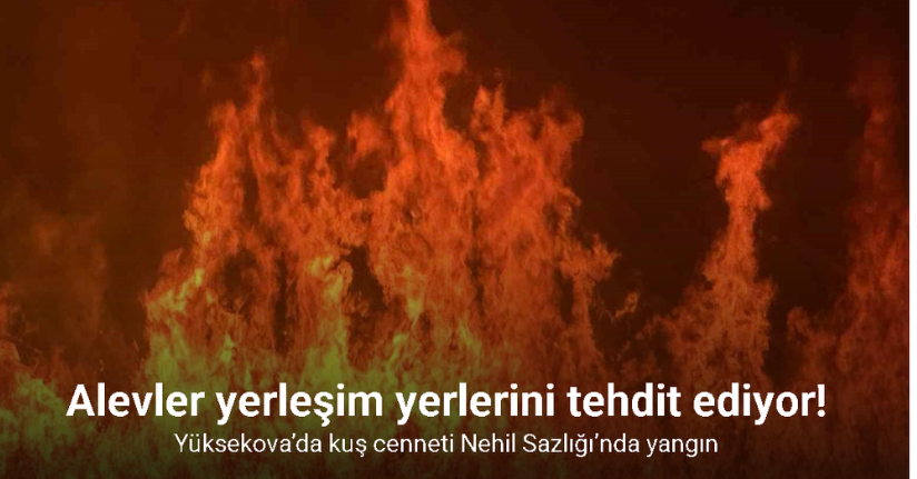 Yüksekova’da kuş cenneti Nehil Sazlığı’ndaki yangın yerleşim yerlerini tehdit ediyor