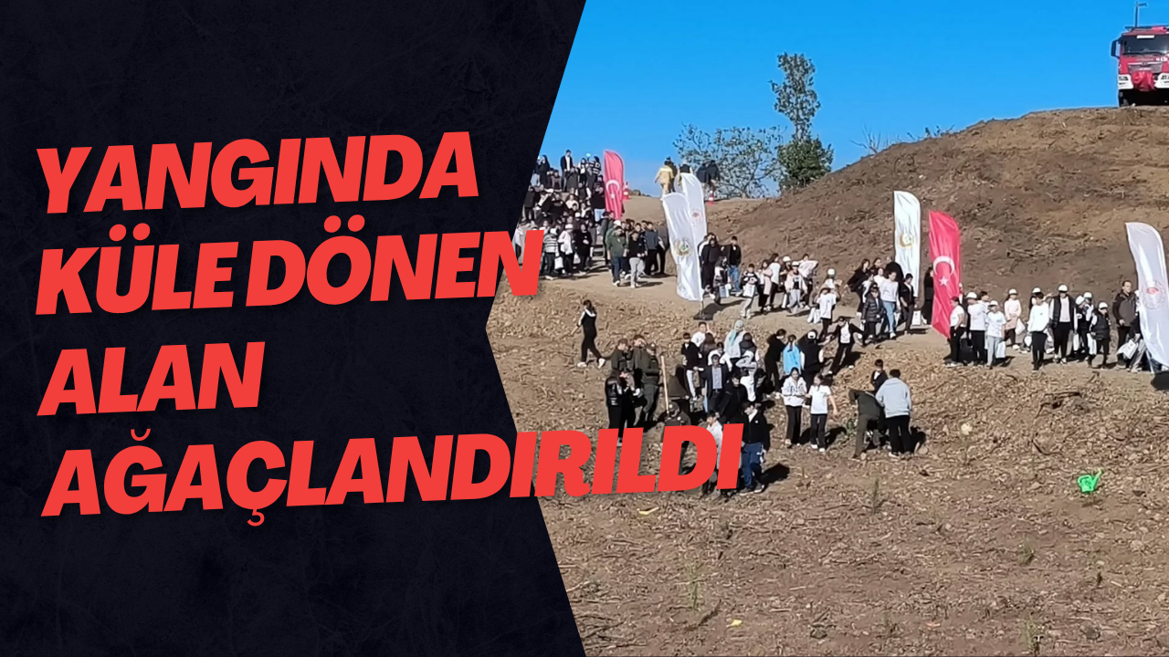 Yangında Küle Dönen Alan Ağaçlandırıldı