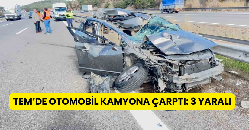TEM’de otomobil kamyona çarptı: 3 yaralı
