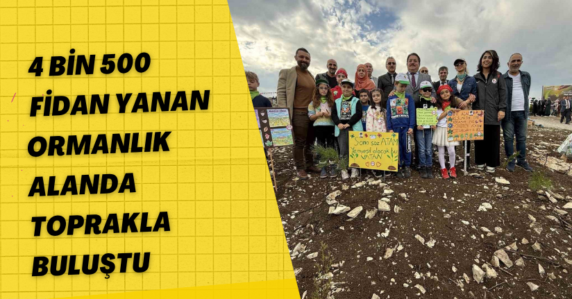 4 bin 500 fidan yanan ormanlık alanda toprakla buluştu