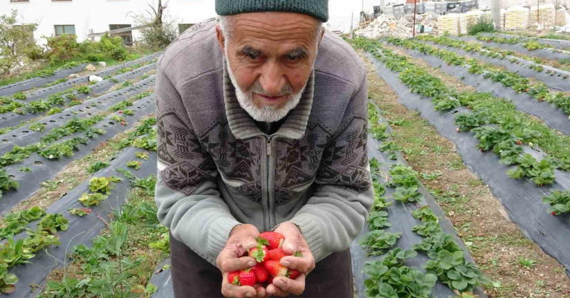85 yaşındaki İbrahim dede 