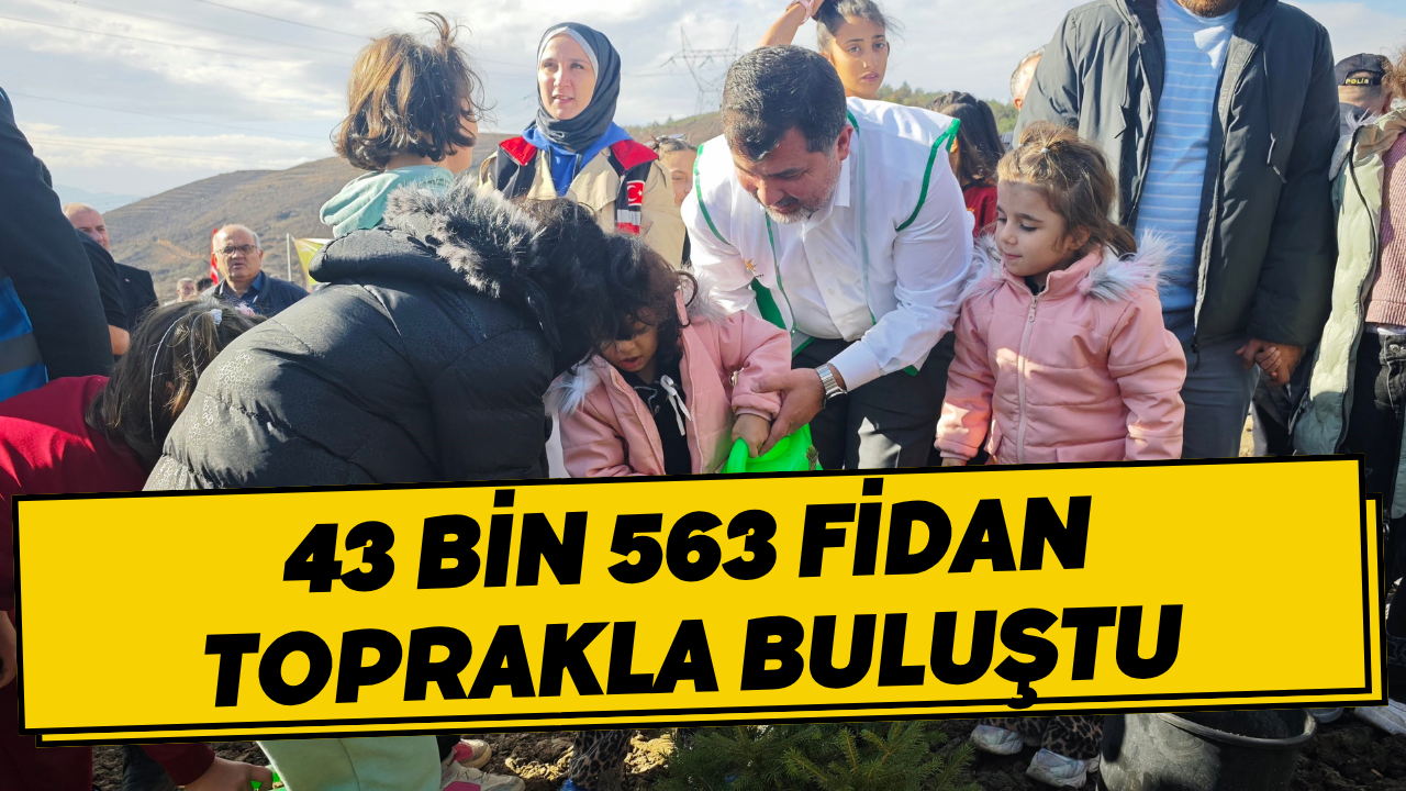 43 Bin 563 Fidan Toprakla Buluştu
