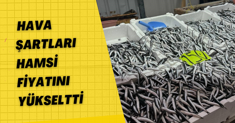 Hava şartları hamsi fiyatını yükseltti