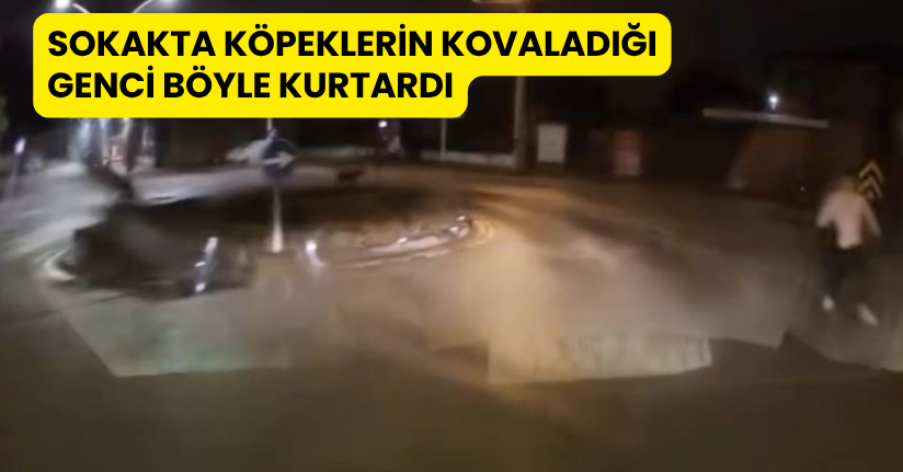 Sokakta köpeklerin kovaladığı genci böyle kurtardı