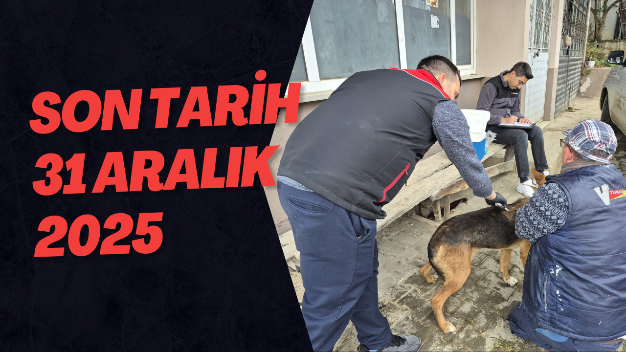 Son Tarih 31 Aralık 2025