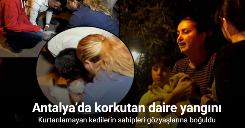 Antalya’daki yangında 2 kedi telef oldu, sahipleri gözyaşlarına boğuldu