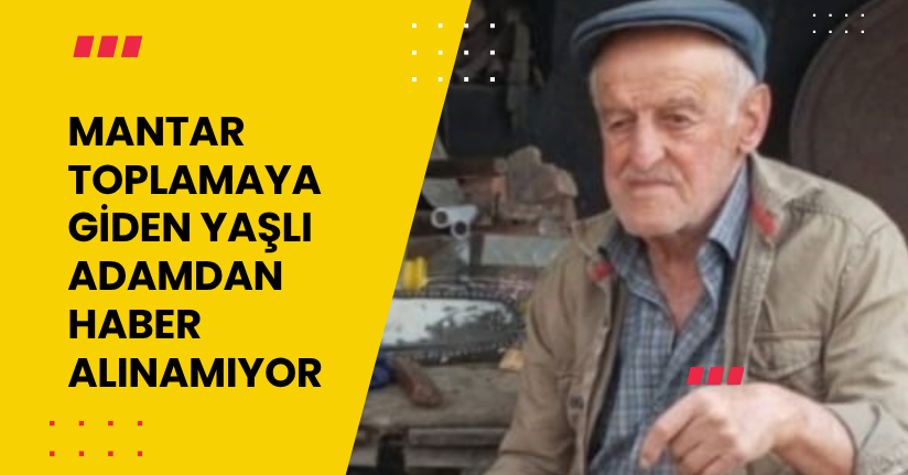Mantar toplamaya giden yaşlı adamdan haber alınamıyor