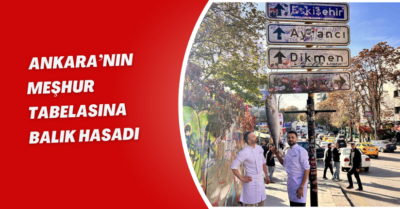 Ankara’nın meşhur tabelasına balık hasadı