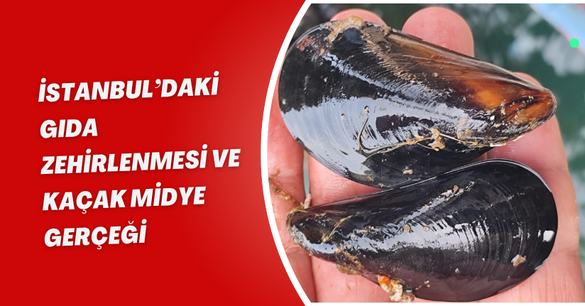 İstanbul’daki gıda zehirlenmesi ve kaçak midye gerçeği
