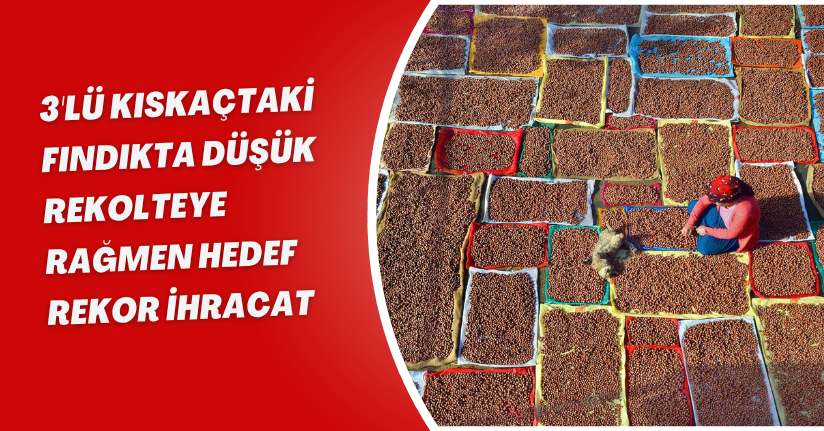 3'lü kıskaçtaki fındıkta düşük rekolteye rağmen hedef rekor ihracat