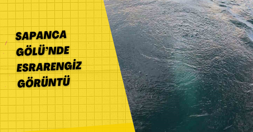 Sapanca Gölü’nde esrarengiz görüntü