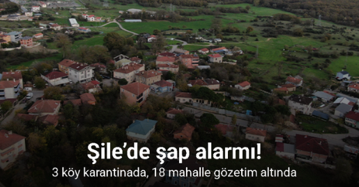 Şile’de şap alarmı: 3 köy karantinada, 18 mahalle gözetim altında