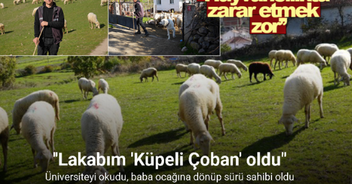 Üniversiteyi okudu, baba ocağına dönüp sürü sahibi oldu
