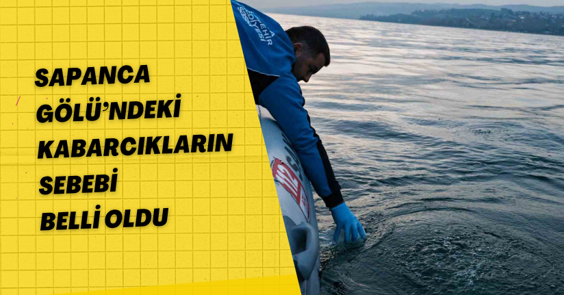 Sapanca Gölü’ndeki kabarcıkların sebebi belli oldu