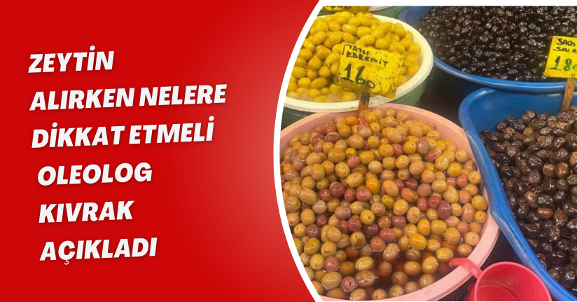 Zeytin alırken nelere dikkat etmeli; Oleolog Kıvrak açıkladı