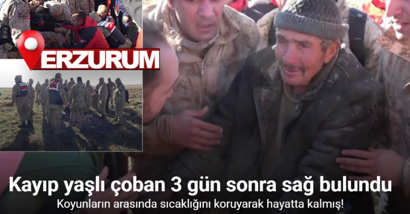 Çoban kendisini koyunların arasında sıcaklığını muhafaza ederek hayatta kalmış