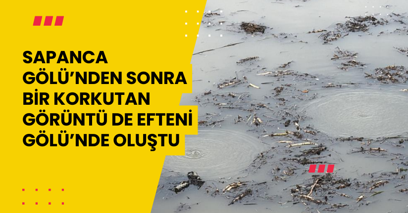 Sapanca Gölü’nden sonra bir korkutan görüntü de Efteni Gölü’nde oluştu