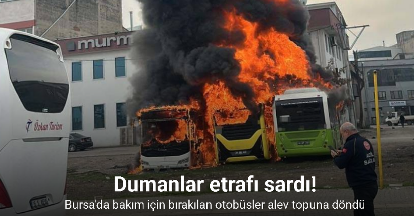Park halindeki otobüsler cayır cayır yandı