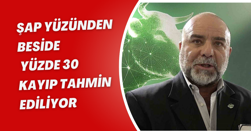 Şap yüzünden beside yüzde 30 kayıp tahmin ediliyor
