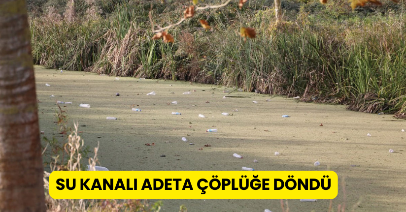 Su kanalı adeta çöplüğe döndü: Vatandaş Karasu Belediyesi’ni göreve çağırdı