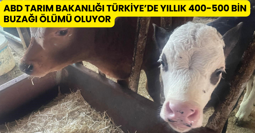 ABD Tarım Bakanlığı: 