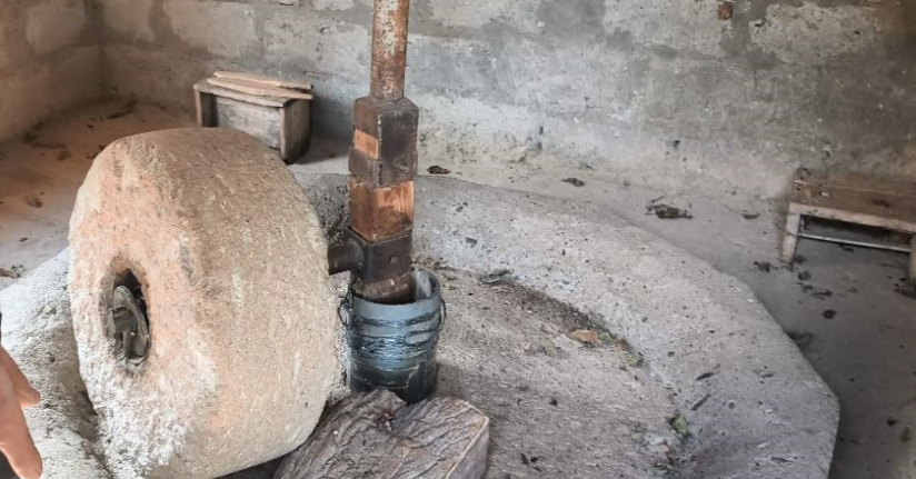 Ardanuç’ta 80 yıllık değirmen geleneksel yöntemlerle üretim yapıyor