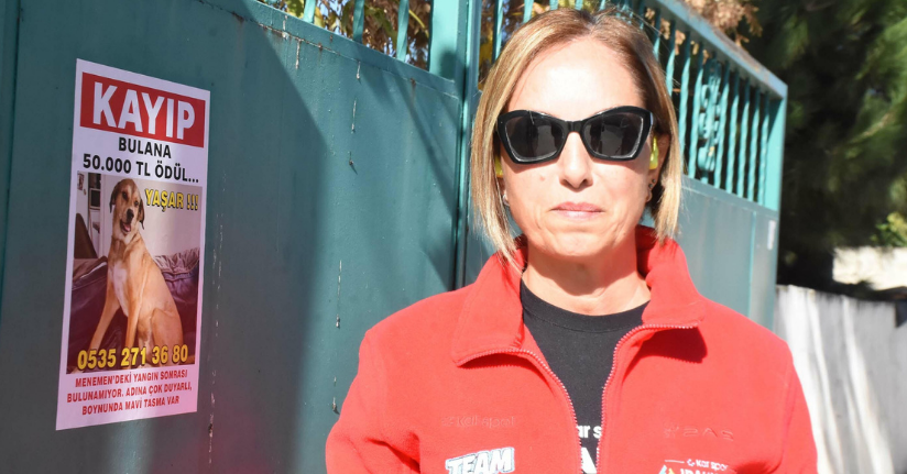 Kayıp köpeği Yaşar'ı bulana 50 bin lira verecek