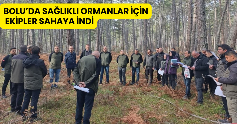 Bolu’da sağlıklı ormanlar için ekipler sahaya indi