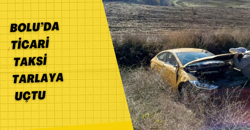 Bolu’da ticari taksi tarlaya uçtu