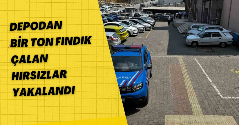 Depodan bir ton fındık çalan hırsızlar yakalandı