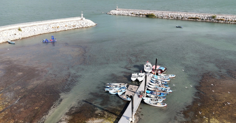 Prof. Dr. Şahin uyardı: 